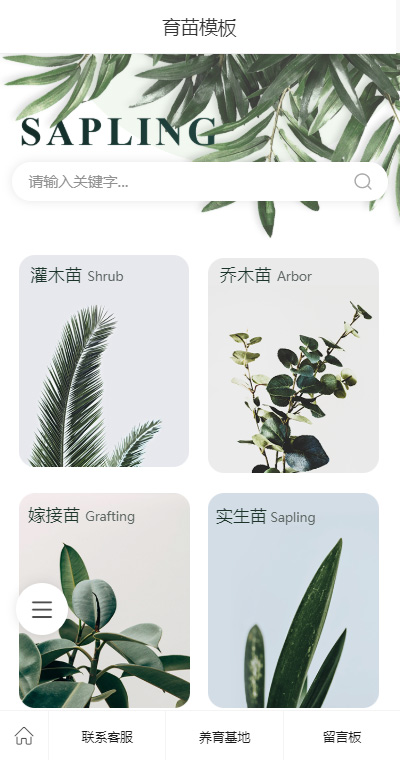漂亮景观绿植树苗（编号：180942）