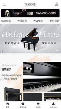 乐器模板（编号：184758）