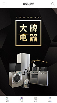 高端数码电器冰箱（编号：179651）