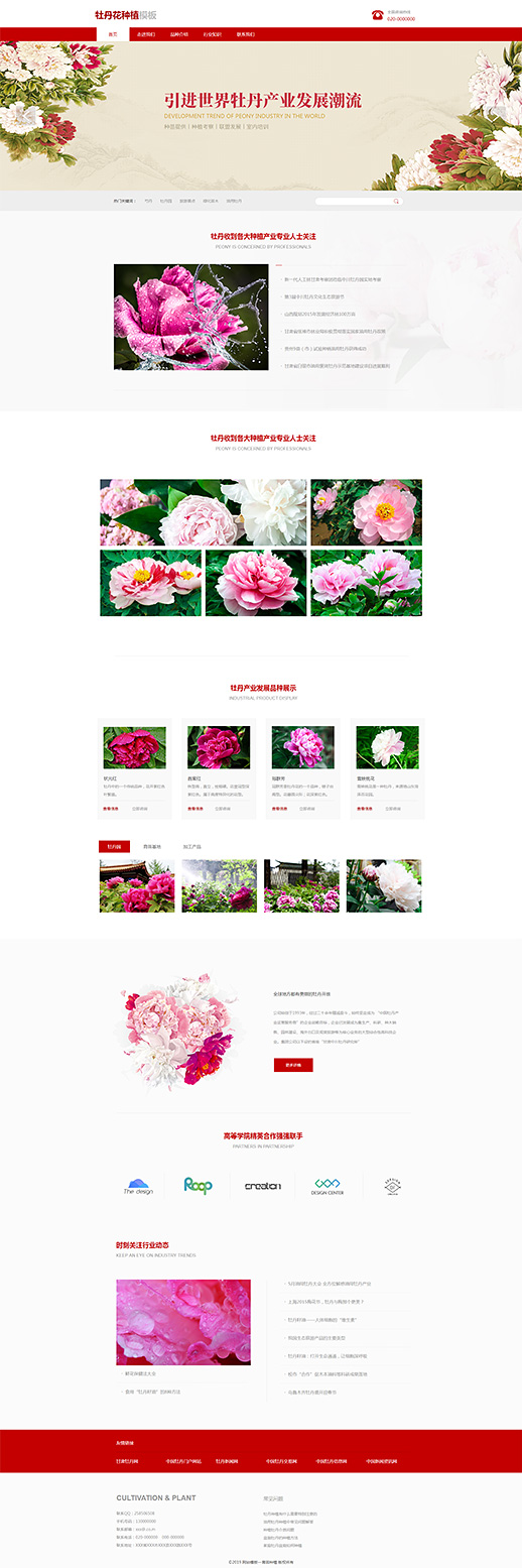 牡丹花种植苗圃（编号：78249）