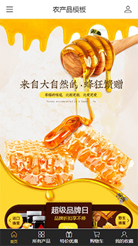 蜂蜜农产品模板（编号：186671）