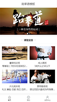 大气健身跆拳道（编号：179430）