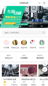 印刷店预约服务小程序模板【彩印服务预约小程序模板】（编号：8124）