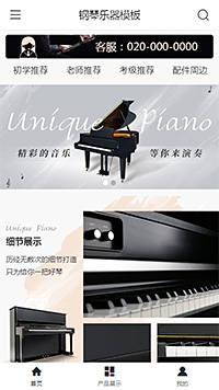 大气乐器钢琴吉他（编号：179441）