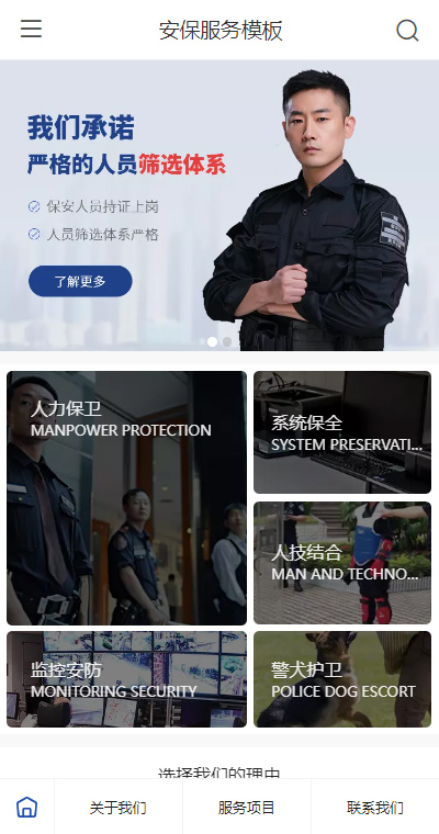 专业安保警卫服务（编号：183205）