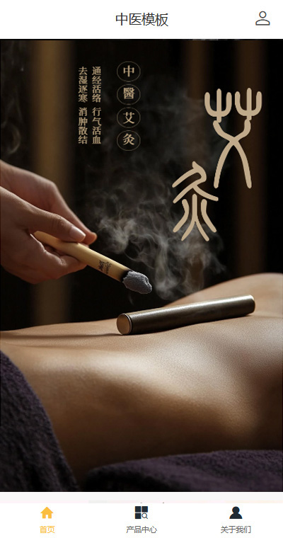 优选中医艾贴艾灸（编号：91373）
