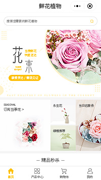 鲜花植物原创公司b2b2c小程序模板（编号：330）