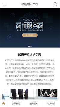 精美知识产权商标（编号：100383）