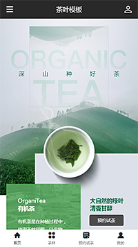优选茶叶茶包绿茶（编号：179661）