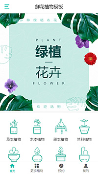 精品鲜花植物绿植（编号：179439）