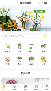 绿植盆栽-花卉绿植盆栽-室内盆栽小程序模板（编号：165）