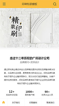 个性印刷包装传单（编号：99705）