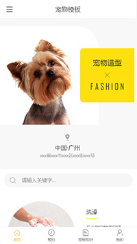 精选宠物犬（编号：179924）