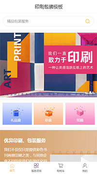 专业印刷包装模板（编号：185660）