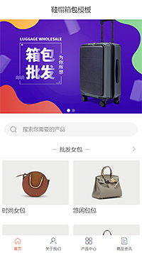 精品鞋帽箱包女包（编号：100345）