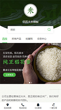 藜麦米_粳米_黑糯米_五常米微商网购网店网站模板（编号：183055）