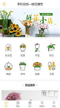 手机模板—鲜花植物（编号：100350）
