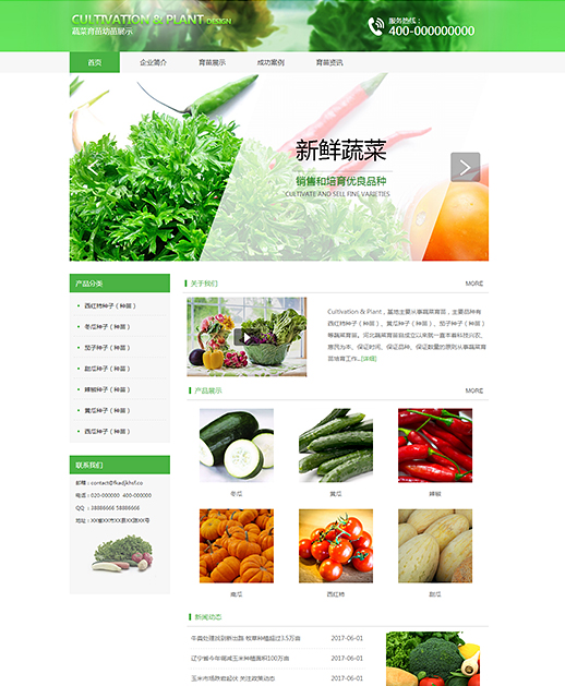 精品蔬菜育苗种植农贸（编号：78251）