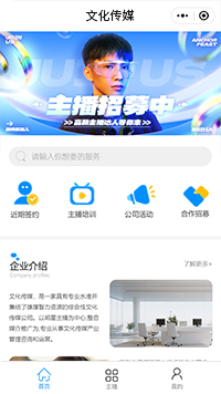 明星主播机构小程序模板（编号：13757）