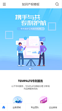 精选知识产权专利（编号：100382）