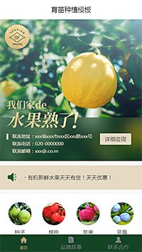 漂亮育苗种植（编号：179921）