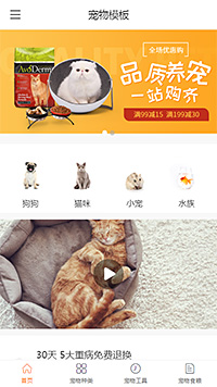 创意宠物猫（编号：179923）
