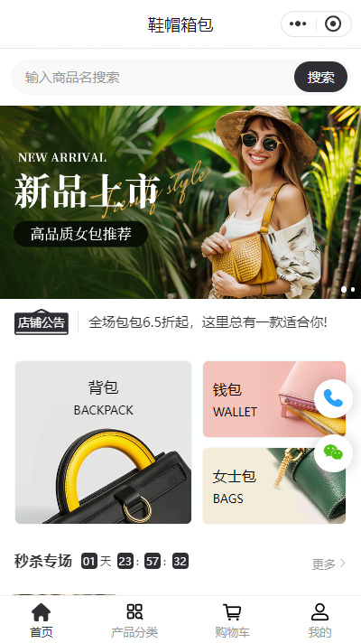 女包专门店线上商城小程序模板（编号：8998）