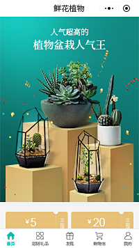 盆栽花卉-盆栽蔬菜-盆栽植物小程序模板（编号：110）