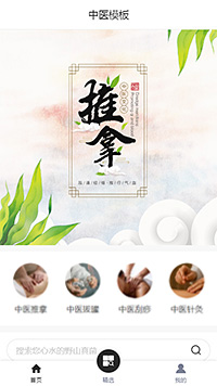 精选中医理疗（编号：179922）