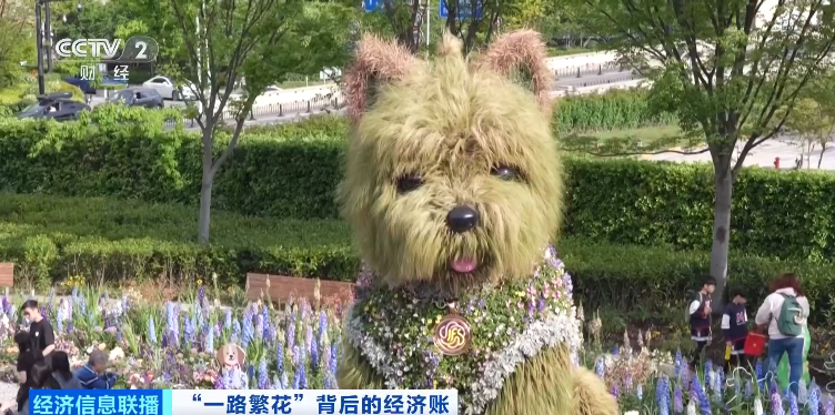 上海国际花卉节花海