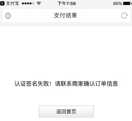 支付宝支付设置失败排查教程
