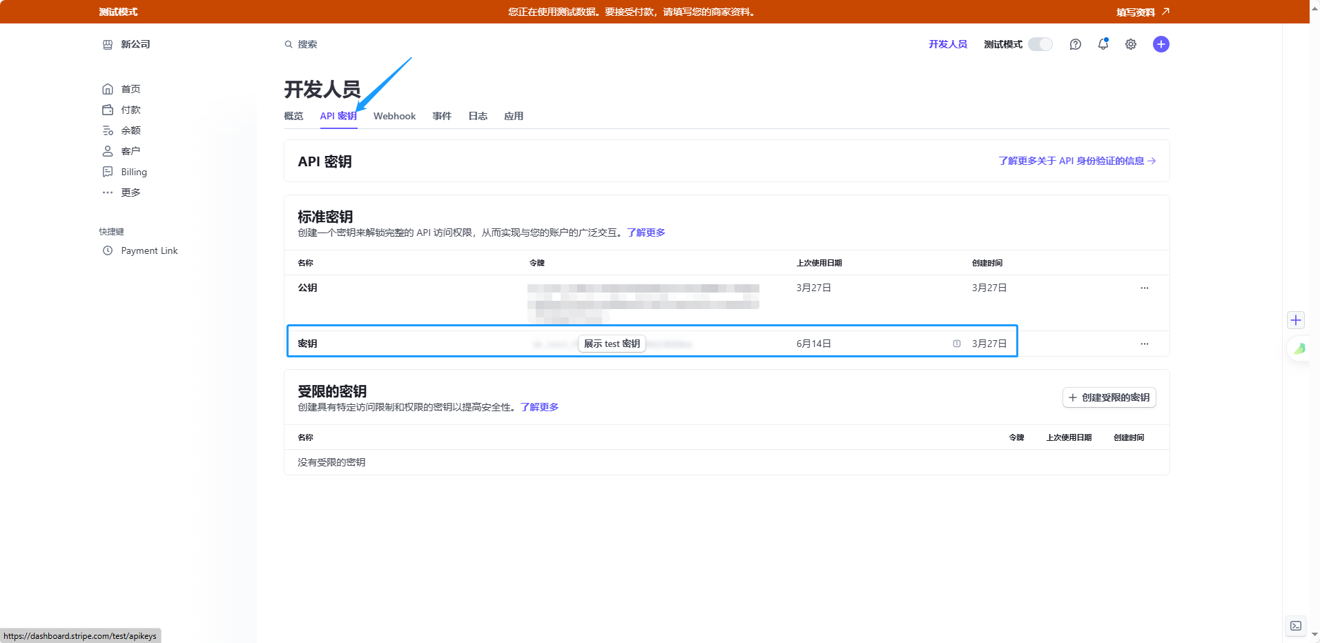国际版stripe支付 