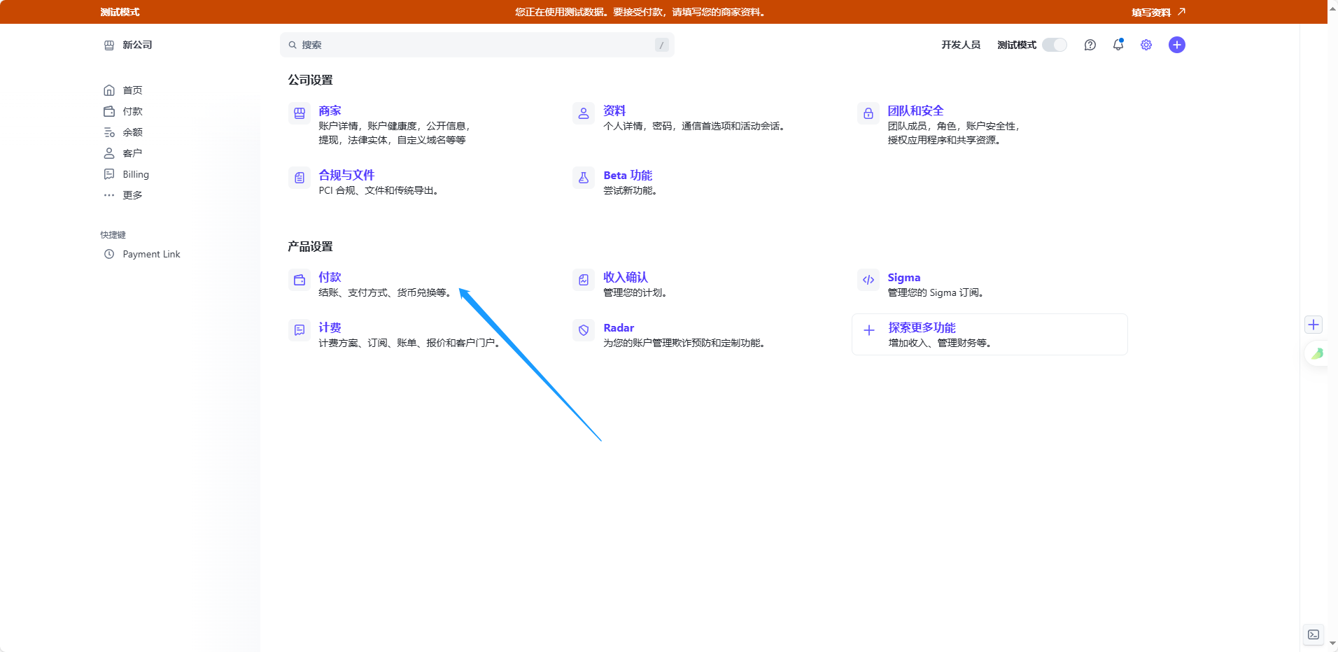 国际版stripe支付 