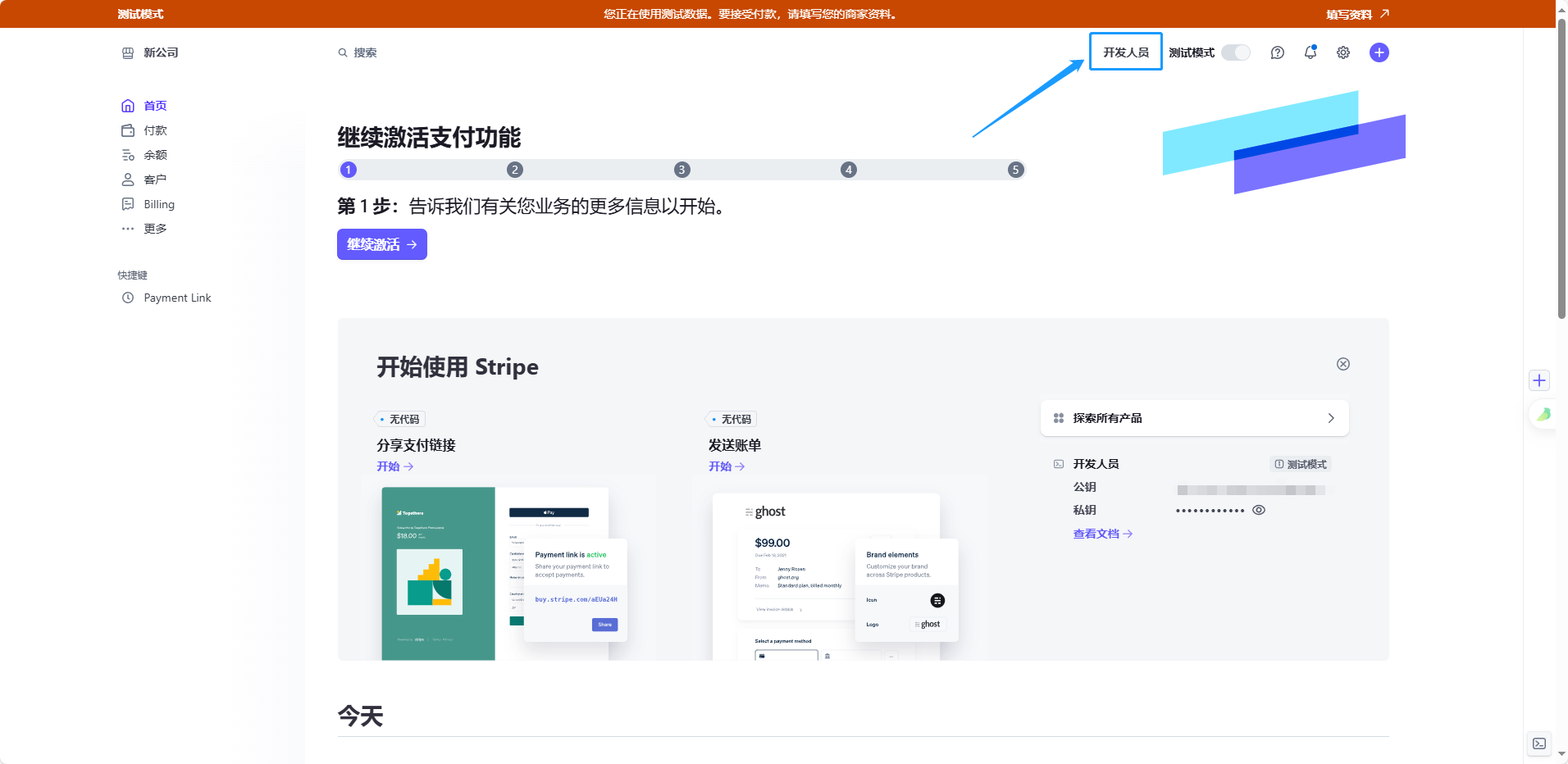 国际版stripe支付 